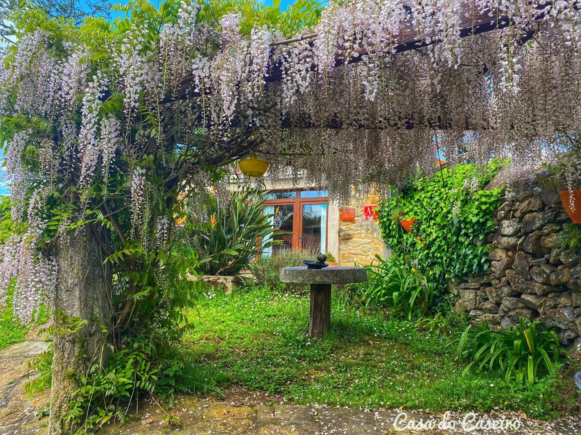 Casa Do Caseiro A Costa Da Morte Xornes Екстер'єр фото